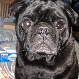 Meet your Posher, Elise